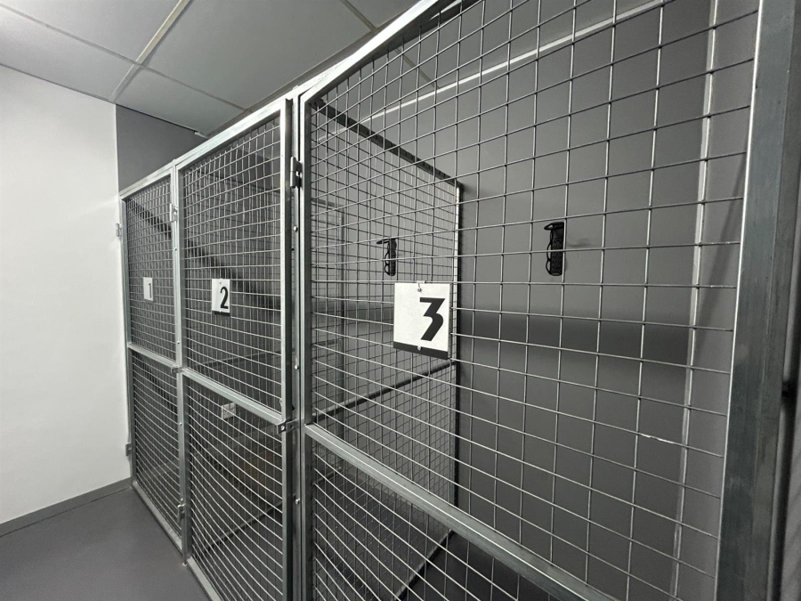 To Let Commercial Property for Rent in Newlands Western Cape